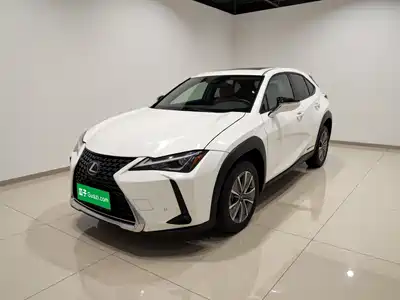 Lexus UX Electric 2021
