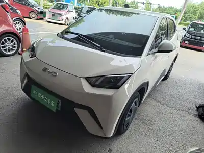 BYD Seagull 2024