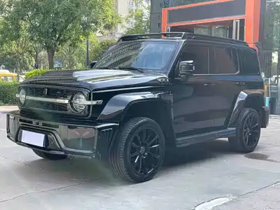Crossboundary Auto Co-created Tank 300 2024