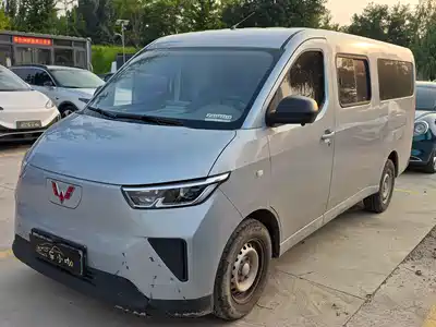 Wuling Motors Yangguang 2024