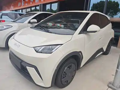 BYD Seagull 2024