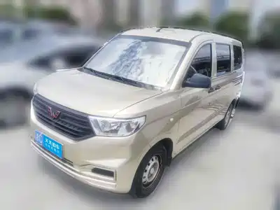 Wuling Motors Hongguang V 2024