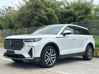 Besturn T99 2020