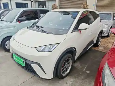 BYD Seagull 2024