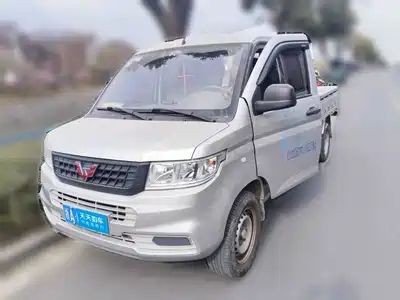 Wuling Motors Rongguang New Truck 2022