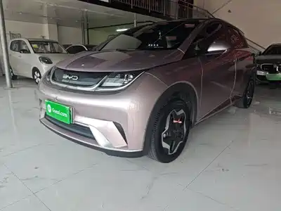 BYD Dolphin 2022