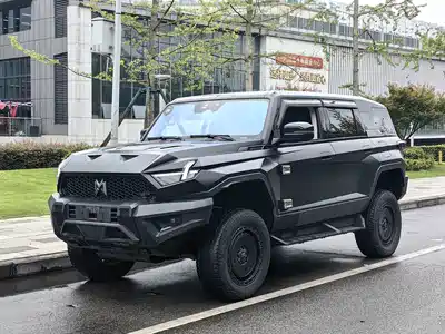 Mengshi 917 2023