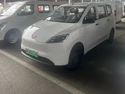 Wuling Motors Hongguang New Energy 2026