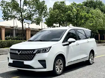 Wuling Motors Jiachen 2024