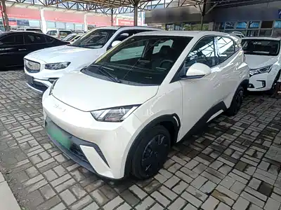 BYD Seagull 2024