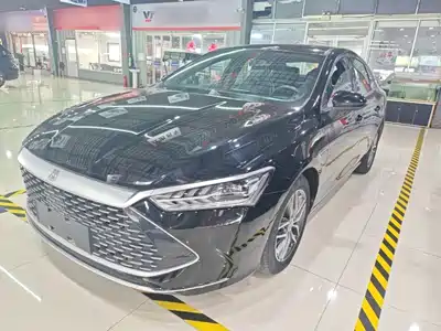 BYD Qin PLUS 2021