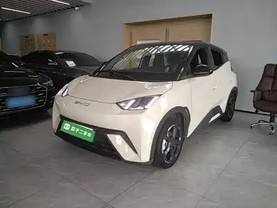 BYD Seagull 2024