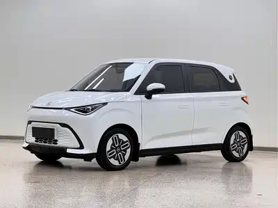 QQ New Energy Duomi 2026
