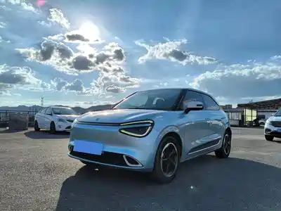Dongfeng Yipai Nano 01 2024
