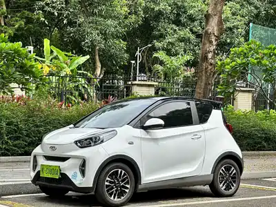 QQ New Energy Little Ant 2022