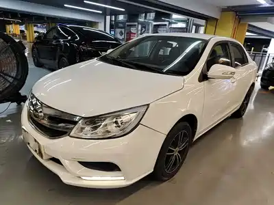 BYD Surui 2015