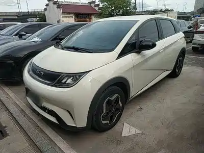 BYD Dolphin 2024