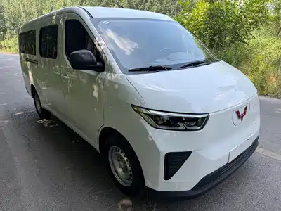 Wuling Motors Yangguang 2024