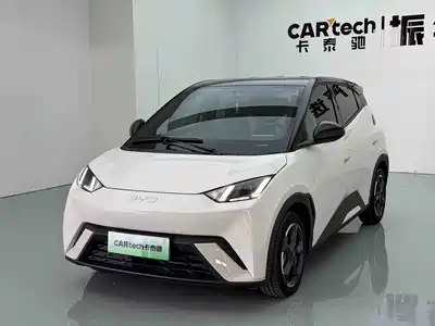 BYD Seagull 2024