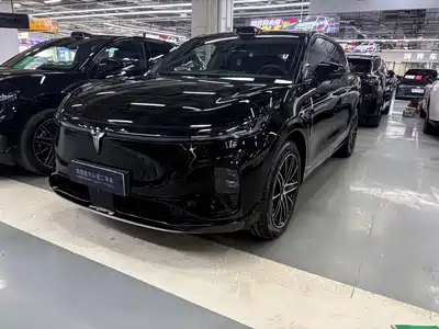 Voyah Auto Zhiyin 2025