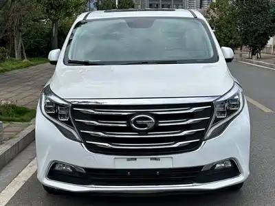 GAC Trumpchi M8 2019
