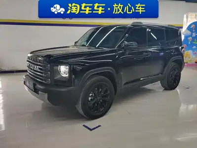 Haval Meng Long NEV 2025