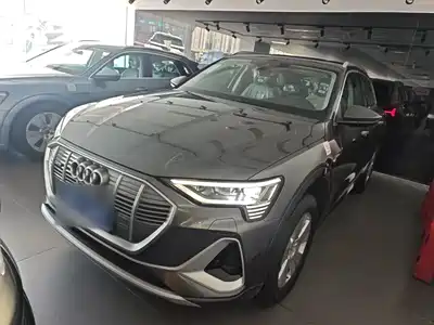 Audi e-tron 2026