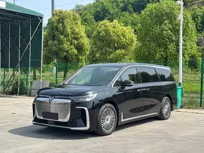 Voyah Auto Dreamer 2024