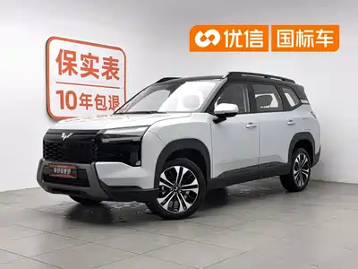 Wuling Motors Starlight 560 NEV 2025