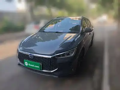 BYD e2 2020