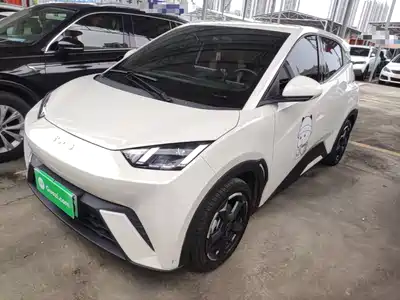 BYD Seagull 2024