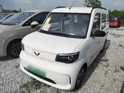 Wuling Motors Zhiguang NEV 2026