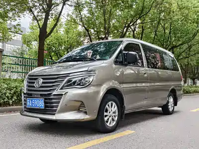 Dongfeng Fengxing Lingzhi 2021