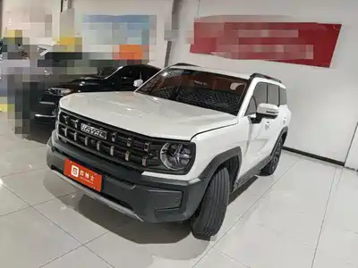Haval Cool Dog 2023