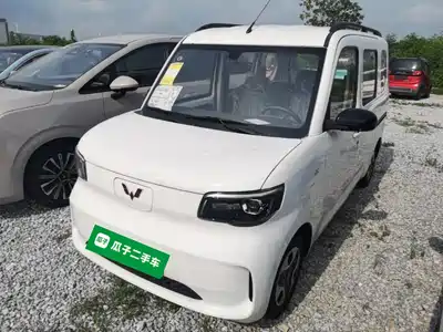 Wuling Motors Zhiguang NEV 2026