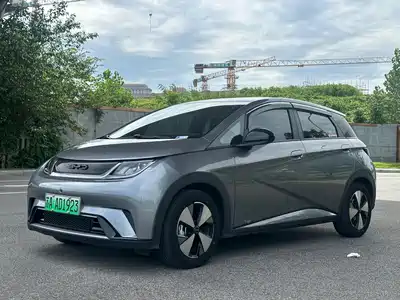 BYD Dolphin 2024