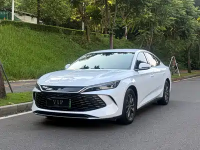 BYD Qin L 2024