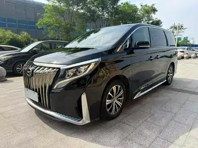GAC Trumpchi M8 2020