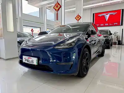 Tesla Model Y 2021