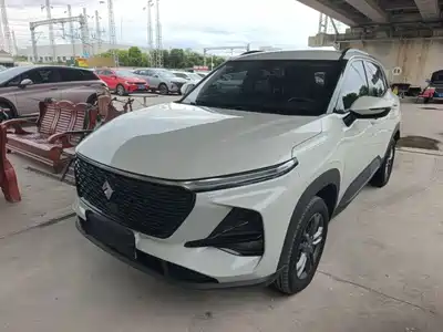 Baojun RS-3 2022