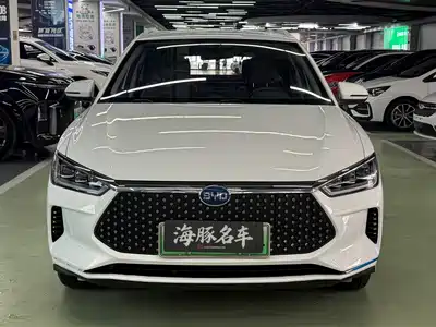 BYD e2 2021