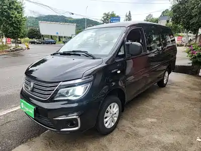 Dongfeng Fengxing Lingzhi 2019