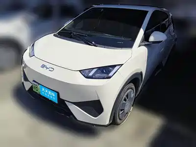 BYD Seagull 2025