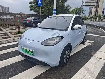 Wuling Motors Bingo 2024