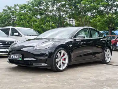 Tesla Model 3 (Import) 2021