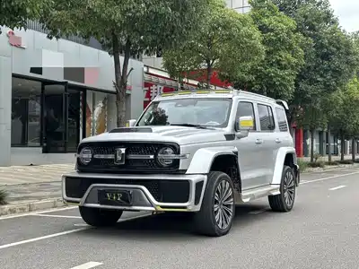 Crossboundary Auto Co-created Tank 300 2022