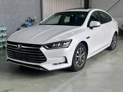 BYD Qin Pro New Energy 2019