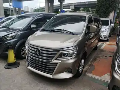 Dongfeng Fengxing Lingzhi 2025