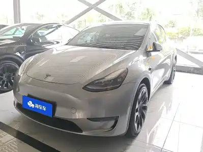 Tesla Model Y 2024