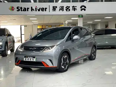 BYD Dolphin 2022